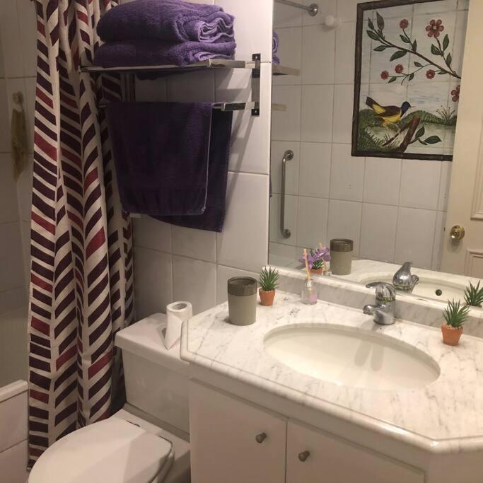 Apartamento Amoblado , En El Corazon De Providencia, Incluye Estacionamiento Santiago