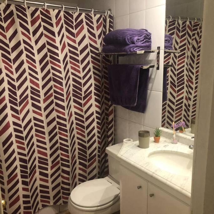 Apartamento Amoblado , En El Corazon De Providencia, Incluye Estacionamiento Santiago